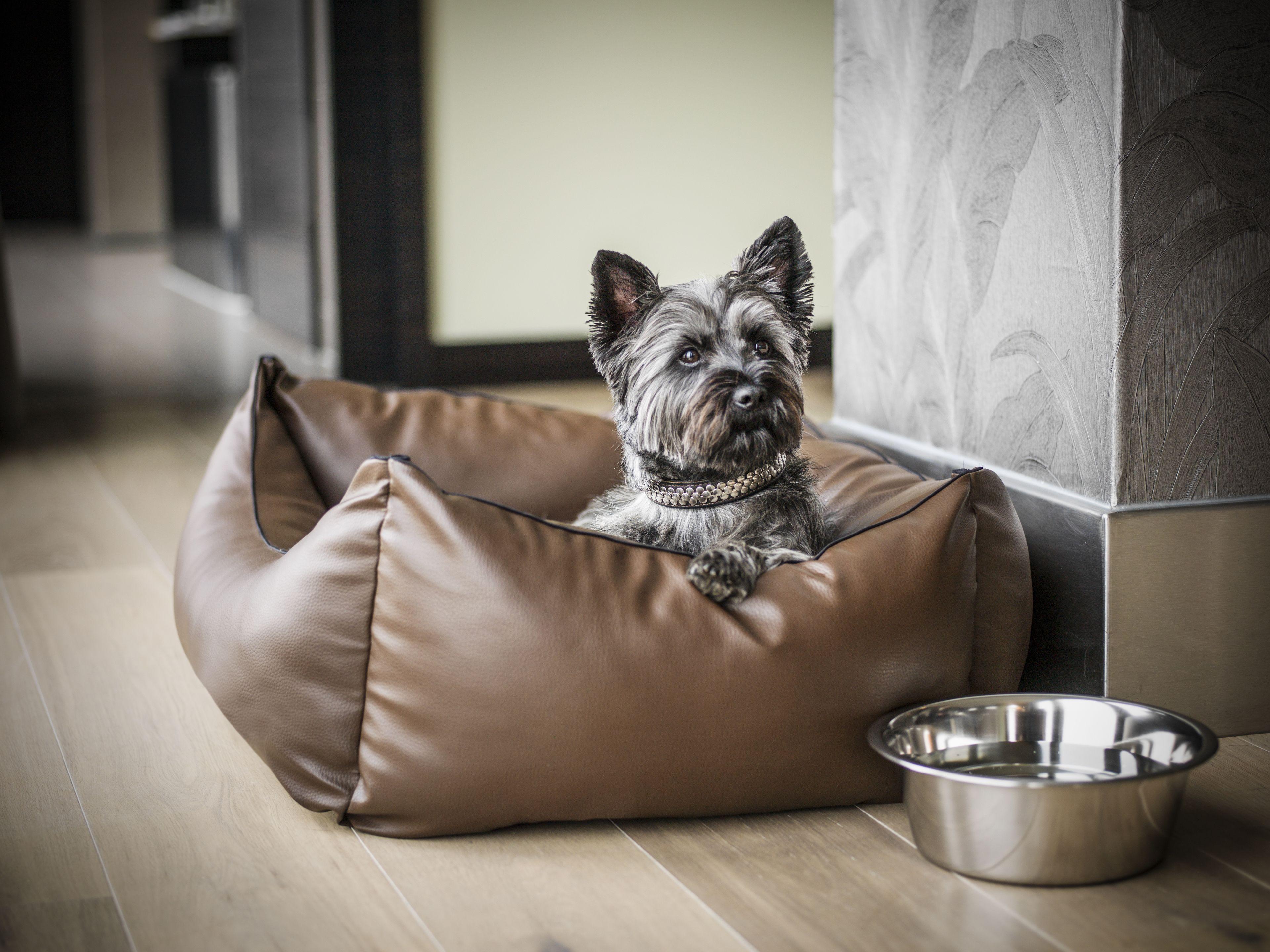 Hyatt Regency Hotel Dusseldorf